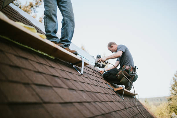Best Roof Gutter Cleaning  in Capitan, NM